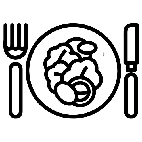 lunch icon showing a plate of vegetables with fork and knife utensils.